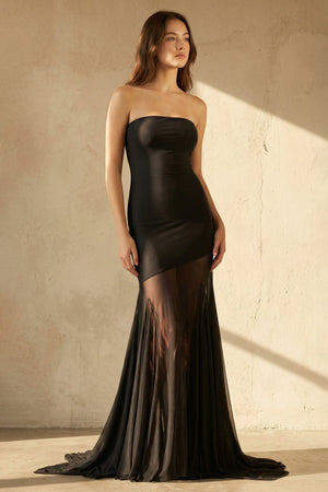 Strapless Sheer - Panel Maxi Dress in Black - SHE IS ME